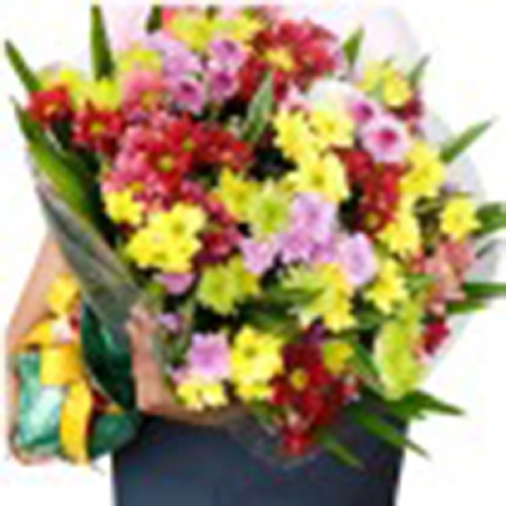Colourful Chrysanthemum Bouquet Colourful Chrysanthemum Bouquet