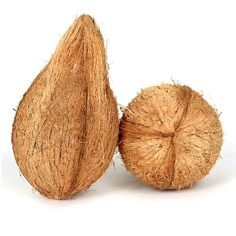 Coconut Coconut