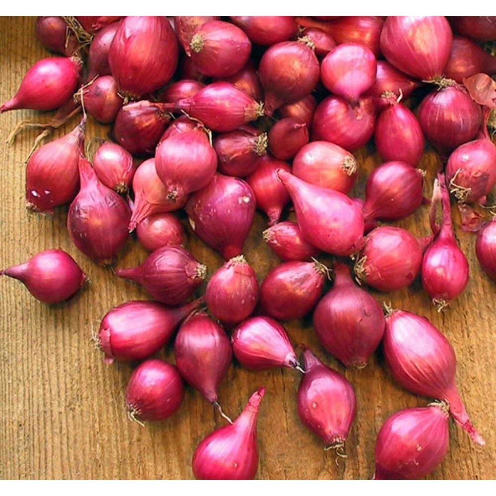 Onion (சிறிய வெங்காயம்) 500g Onion (சிறிய வெங்காயம்) 500g