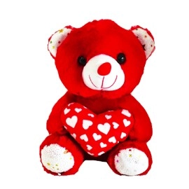 Red Teddy Bear with Love Pillow