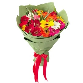 Bouquet of 20 Gerberas